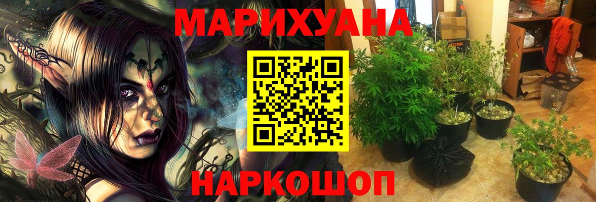 Бошки марихуана тримм  Канабис конопля  Солнечногорск  Шишки марихуана индика  Вход с VPN 